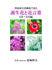 四枚組写真構成で見る誕生花と花言葉４～５月編