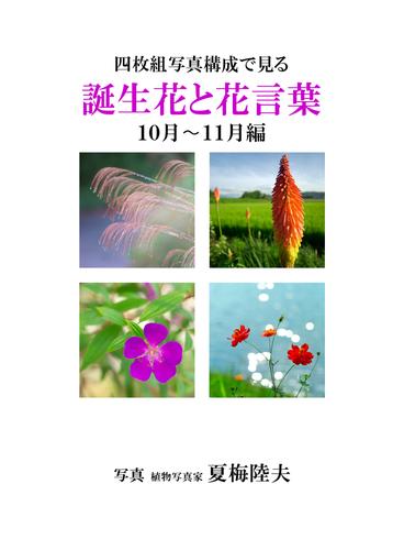 四枚組写真構成で見る誕生花と花言葉１０～１１月編