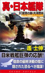 真・日本艦隊（3）復讐の翼・太洋燃ゆ