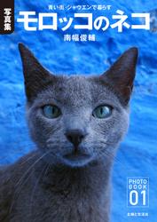 【デジタル写真集】モロッコのネコ