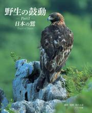 野生の鼓動 Part1 日本の鷲