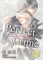 Perfect Crime　2