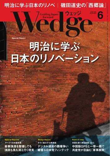 WEDGE（ウェッジ） (2018年6月号)