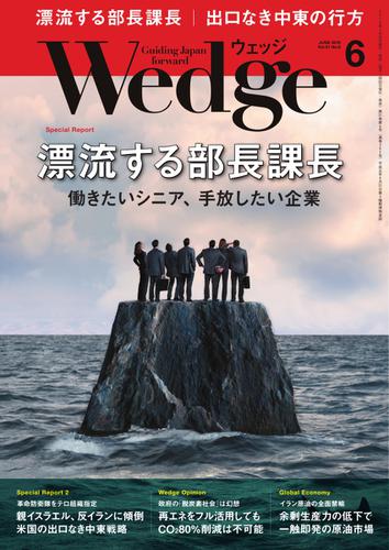 WEDGE（ウェッジ） (2019年6月号)