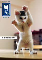 保護猫写真集 ねこっぱち! (1) #かわいいは正義