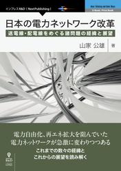 日本の電力ネットワーク改革　送電線・配電線をめぐる諸問題の経緯と展望