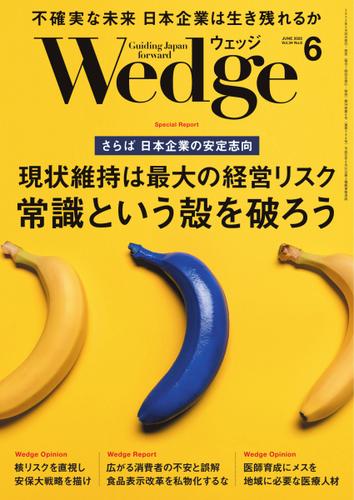 WEDGE（ウェッジ） (2022年6月号)